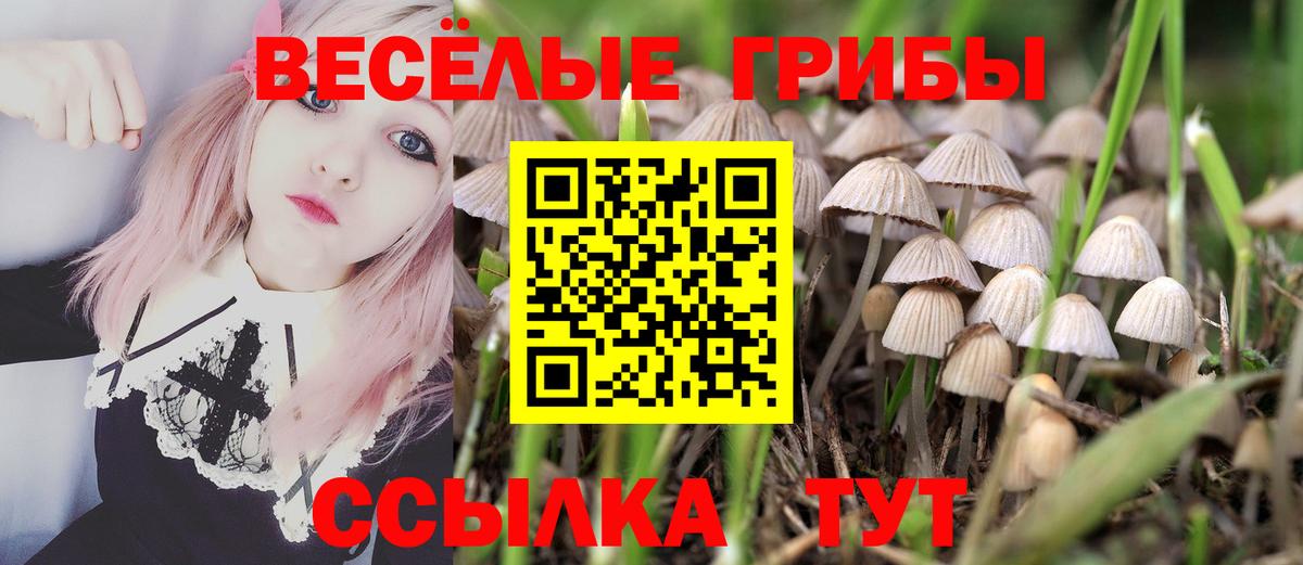 Удомля  Псилоцибиновые грибы прущие грибы  Псилоцибиновые грибы GOLDEN TEACHER  Вход с VPN 